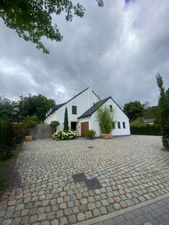 Nummer 151 Villastudios Hasselt Extérieur photo
