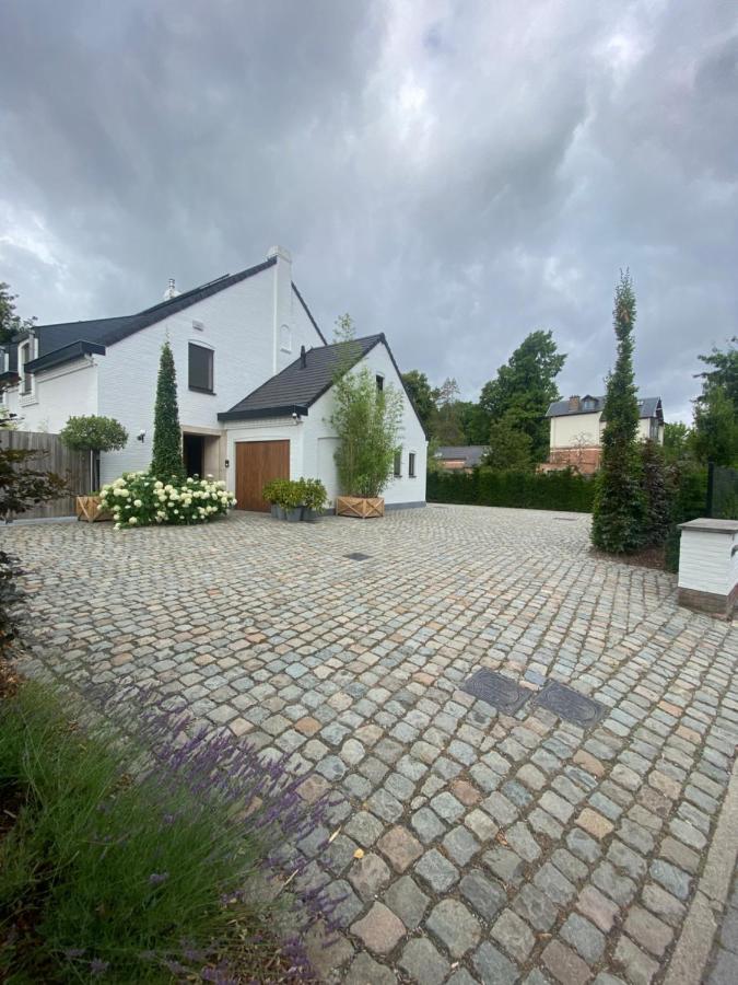 Nummer 151 Villastudios Hasselt Extérieur photo