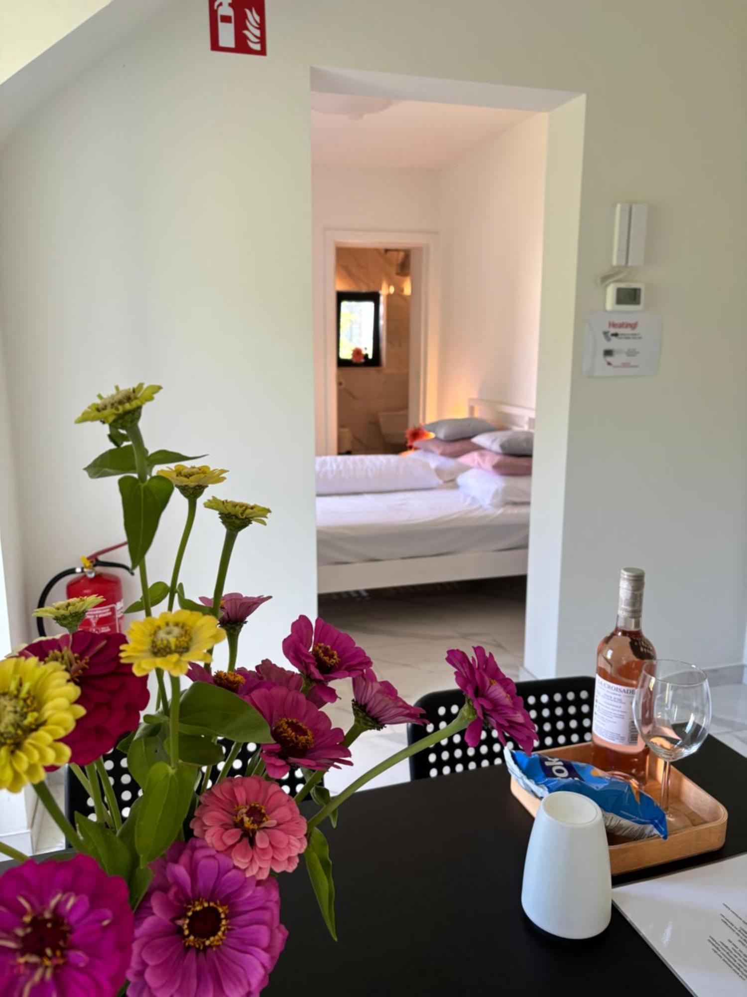 Nummer 151 Villastudios Hasselt Extérieur photo