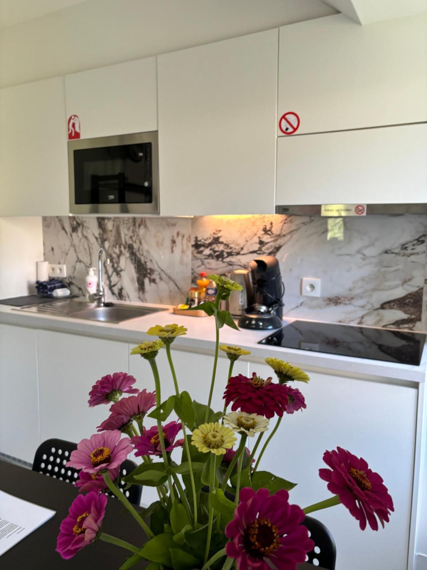 Nummer 151 Villastudios Hasselt Extérieur photo