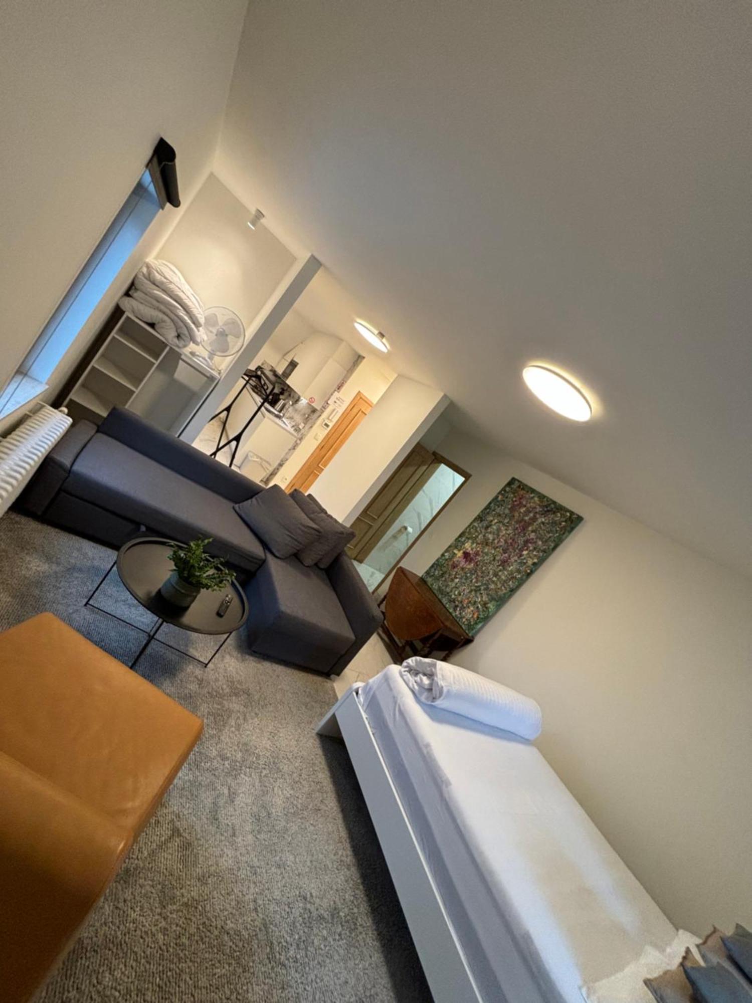 Nummer 151 Villastudios Hasselt Extérieur photo