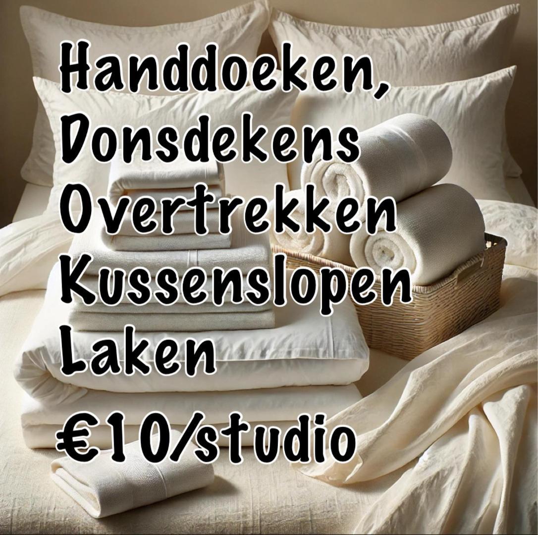 Nummer 151 Villastudios Hasselt Extérieur photo